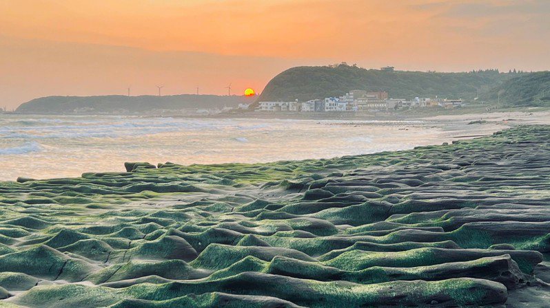 新北北海岸石門老梅綠石槽最近已經綠快一半了，目前覆蓋率近40%，有如舖上一層綠油油的抹茶地毯。記者游明煌／攝影