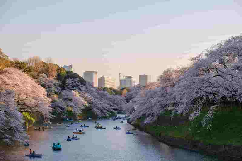 日本赏樱提案，Booking.com_精选「日本五个特色赏樱玩法」。Booking.com提供。