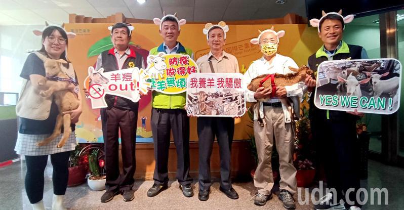 台南市政府农业局表示，2023年初台湾完成羊痘拔针，去年底正式成为世界动物卫生组织﹙WOAH﹚认同羊痘非疫区，后续仍须步步为营。记者谢进盛／摄影