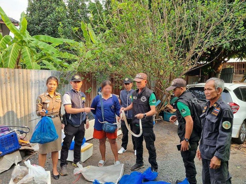 泰國婦女被捕一刻。圖／取自《芭達雅郵報》