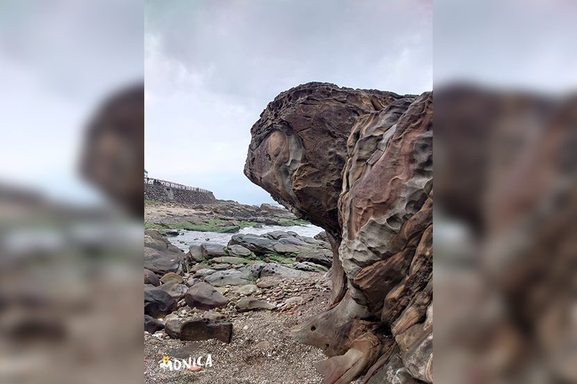 基隆外木山「海龜石」是一座神似「大海龜」的岩石。 圖／Monica Hsu