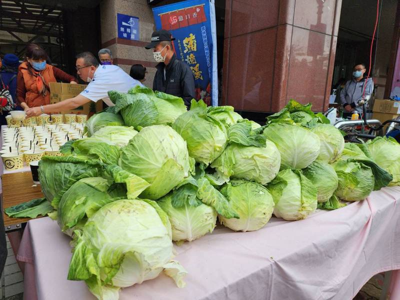 一位網友好奇，國外的高麗菜通常又韌又苦，為何台灣產的高麗菜能夠一年四季都好吃？本報資料照／記者李定宇攝影