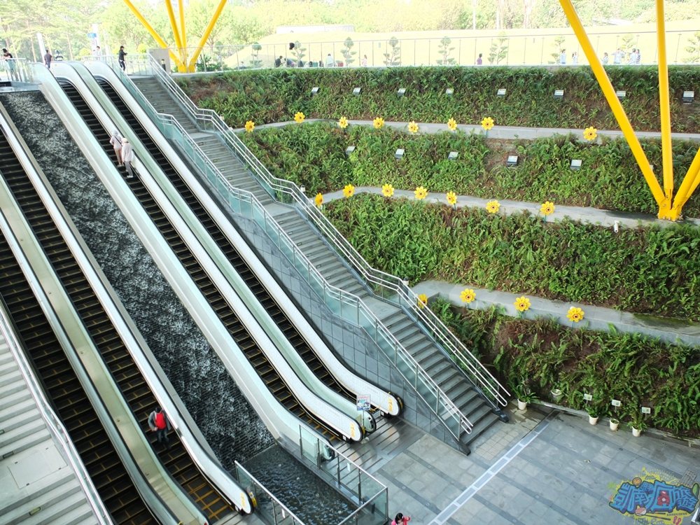 ▲以蕨類生態造景活化中央公園捷運站室內空間，表現出自然氣息。