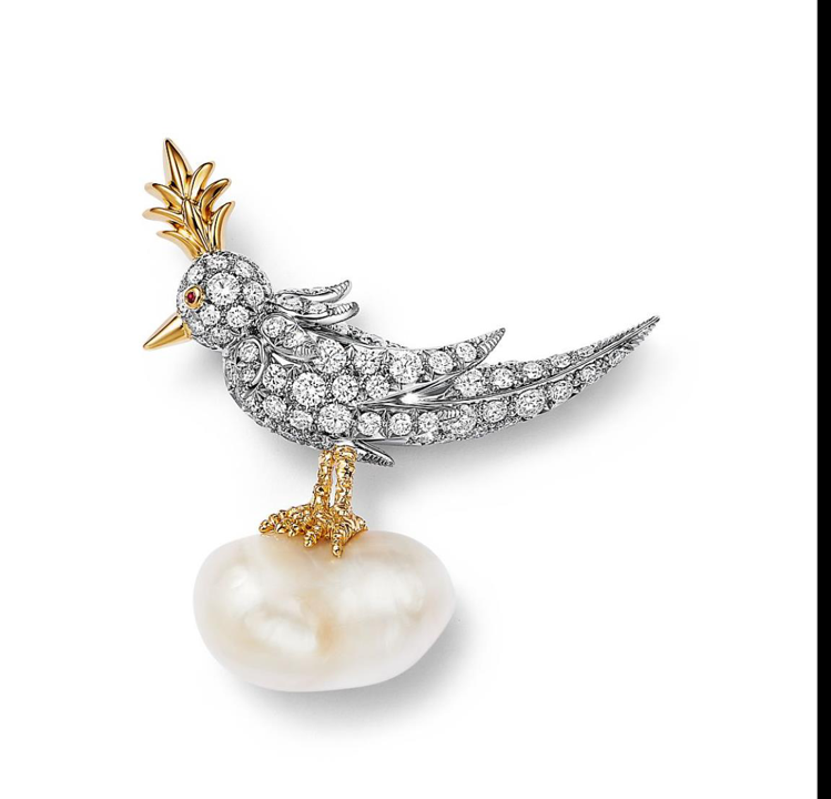 品牌大使鍾楚曦配戴的Jean Schlumberger by Tiffany高級珠寶系列Bird on a Pearl石上鳥珍珠胸針，鉑金及18K黃金鑲嵌天然野生珍珠與鑽石。圖／Tiffany提供