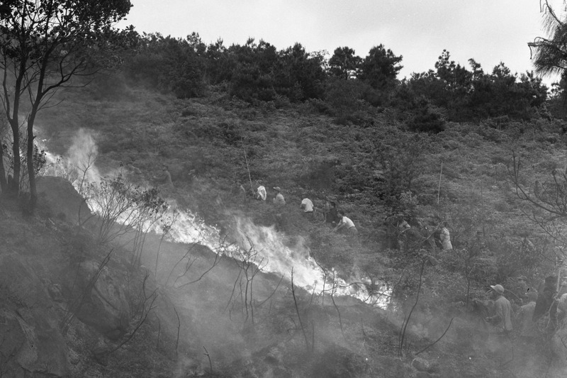 1959年3月21日下午，台北市大直竹仔籠山上發生大火意外，因消防車無法駛入山嶺，幸軍警通力合作，發動駐軍及附近居民數百人合力撲滅。圖／聯合報系資料照片