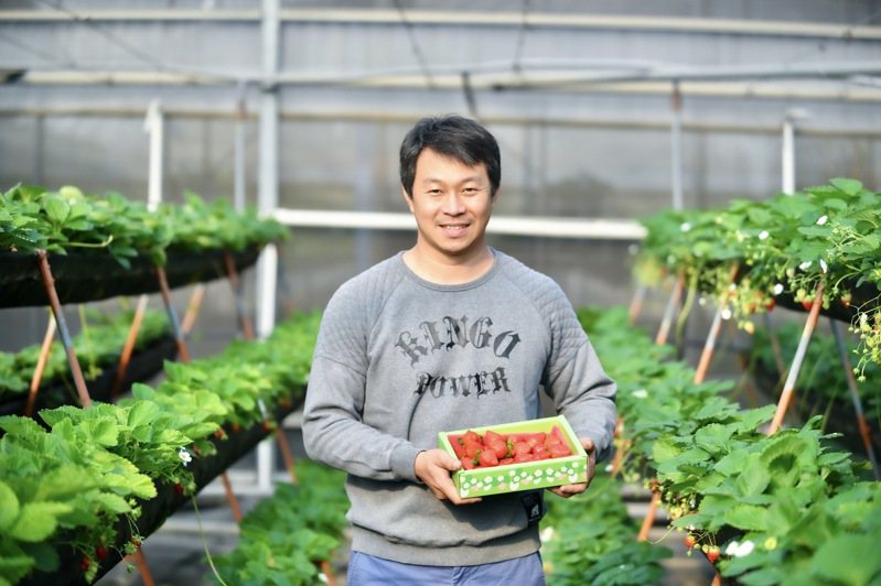沐光農場主人黃文慶以「草莓」為主軸，利用所學栽種無毒安全的草莓。蟬說生活提供