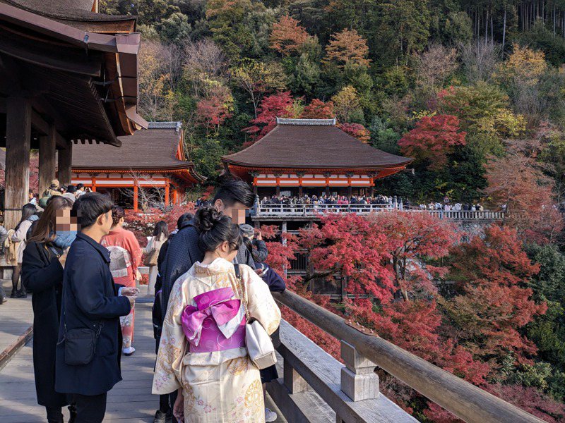 日本疫後觀光潮，圖為清水寺楓紅盛況。圖中人物與新聞無關。本報資料照片