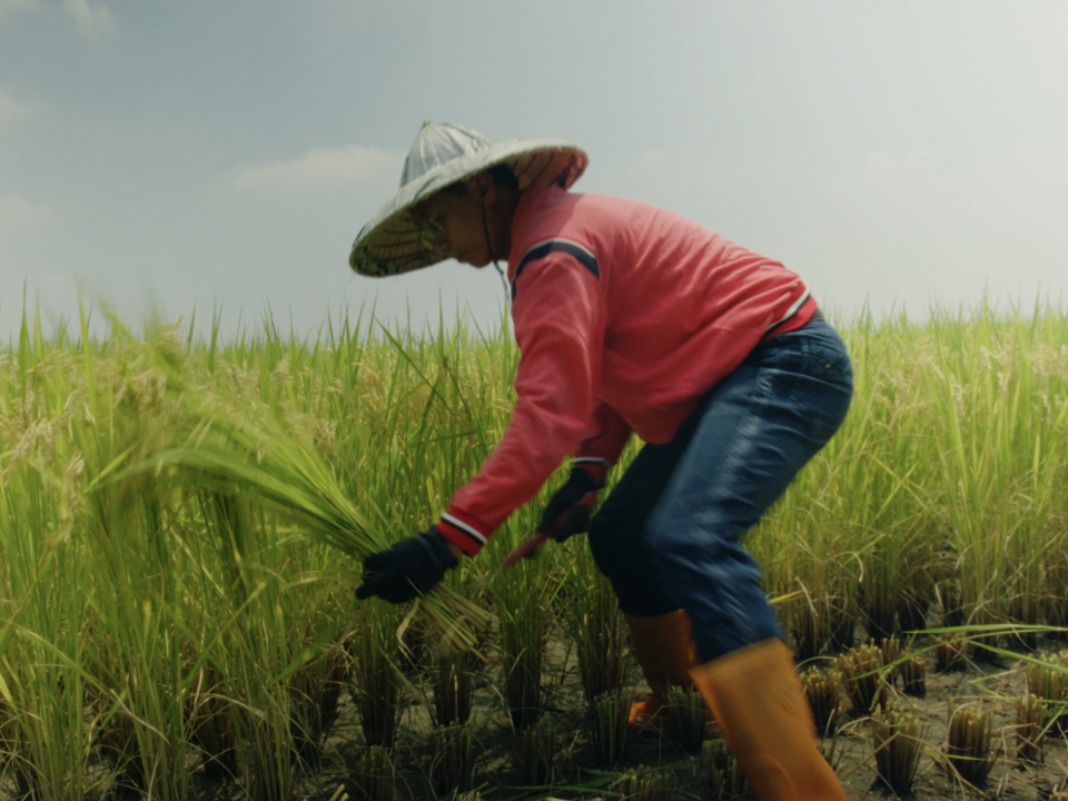 舊振南推動「永續善食計畫」在高屏地區與農夫合作，培育榮獲日本金獎的冠軍米高雄14...