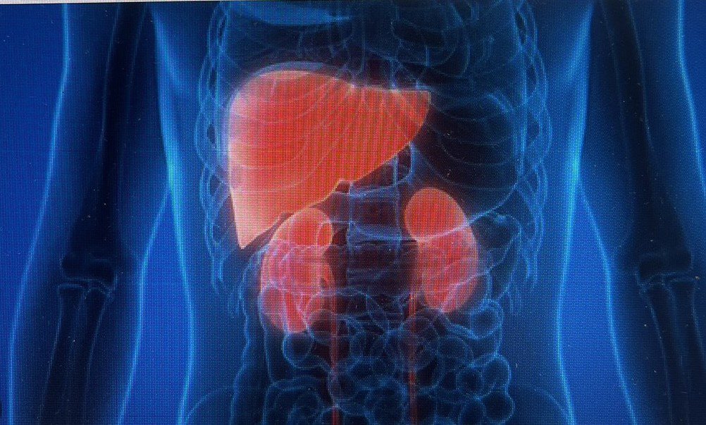 一般人的肝臟在人體右邊。圖／張美玉提供