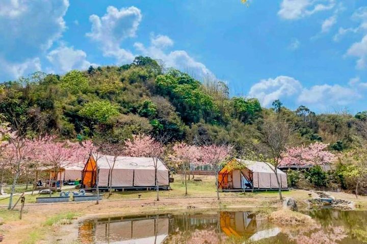 寶來花賞溫泉公園內有合法露營區可供住宿。　圖：高雄市政府觀光局／提供