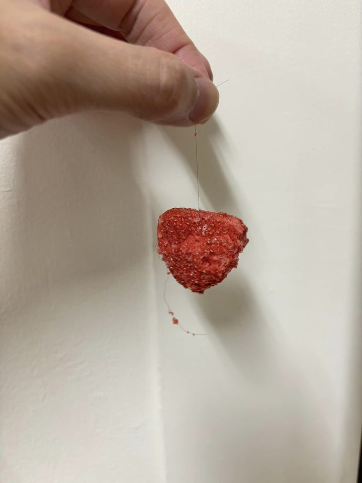 有網友貼圖爆料，在好市多買的零食「甜心草莓」中發現有異物。圖擷自臉書「Costoc好市多 商品經驗老實說」