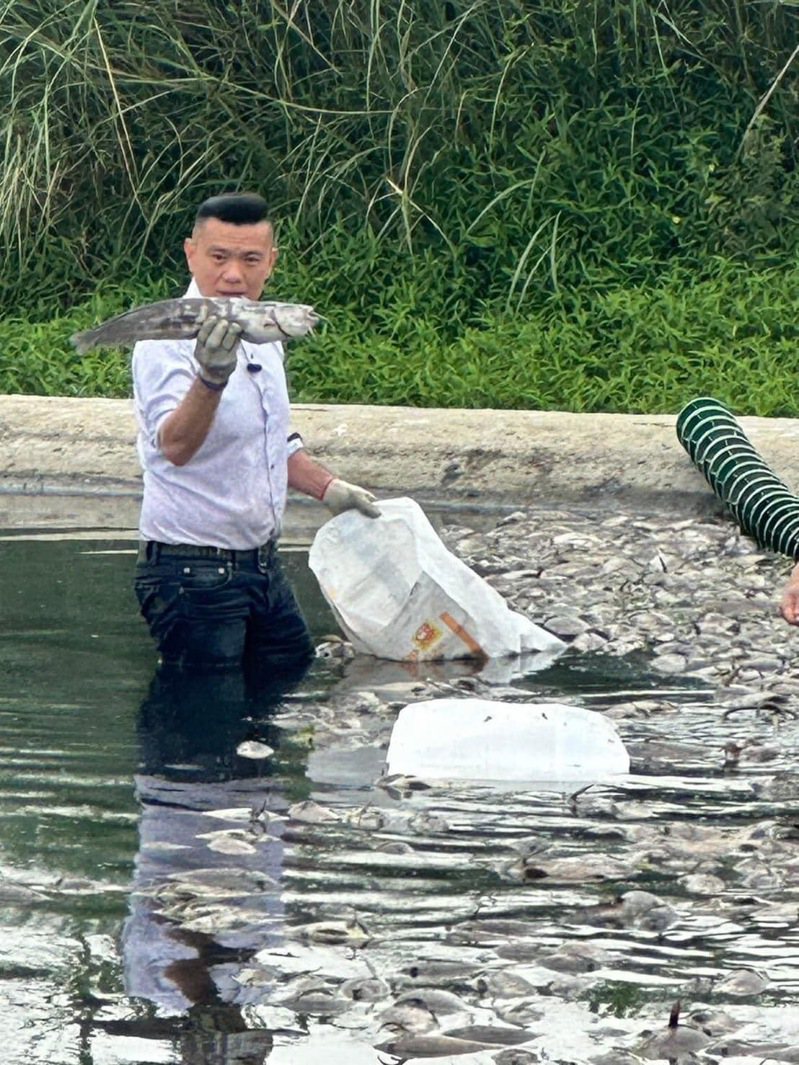台中市议员江和树怀疑鱼会死和大里工业区有厂商趁假日偷排废水有关。图／江和树提供