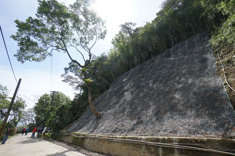 花蓮縣吉安鄉知名的楓林步道，去年9月因颱風崩塌，鄉公所發包施作護坡掛網工程，已經完成。記者王燕華／攝影