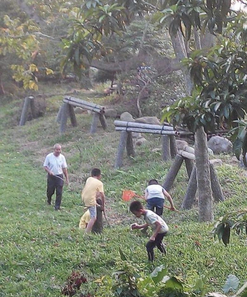 刘炳贺推动友善农耕及生态教学，常带著孩子们在休闲农场找昆虫。图／许名胜提供