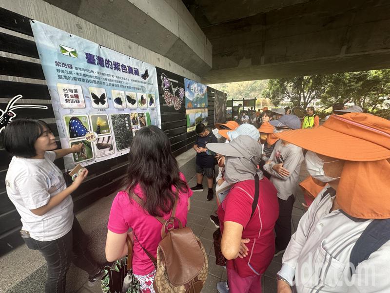 台湾紫斑蝶生态保育协会为各地赶来赏蝶的蝶迷说明紫斑蝶迁徙的路径和生态。记者蔡维斌／摄影