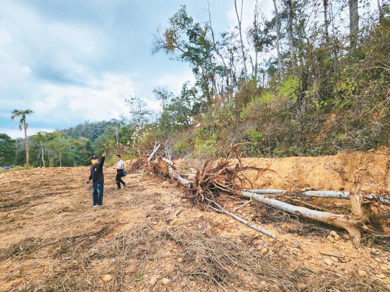 森形埔里農莊開發案遭指控濫伐山林，業者澄清是整理次生林。本報資料照片