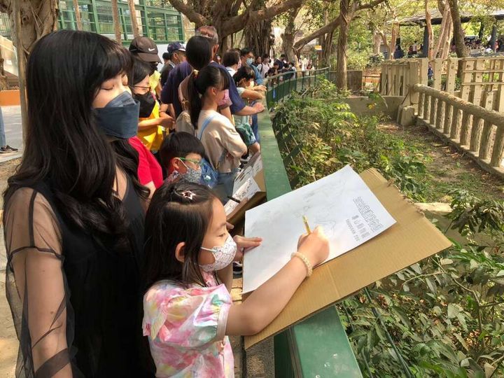 ▲壽山動物園邀請國小學童以豐富的想像及洞察畫下滿滿的生命力。　圖：高雄市政府觀光局／提供