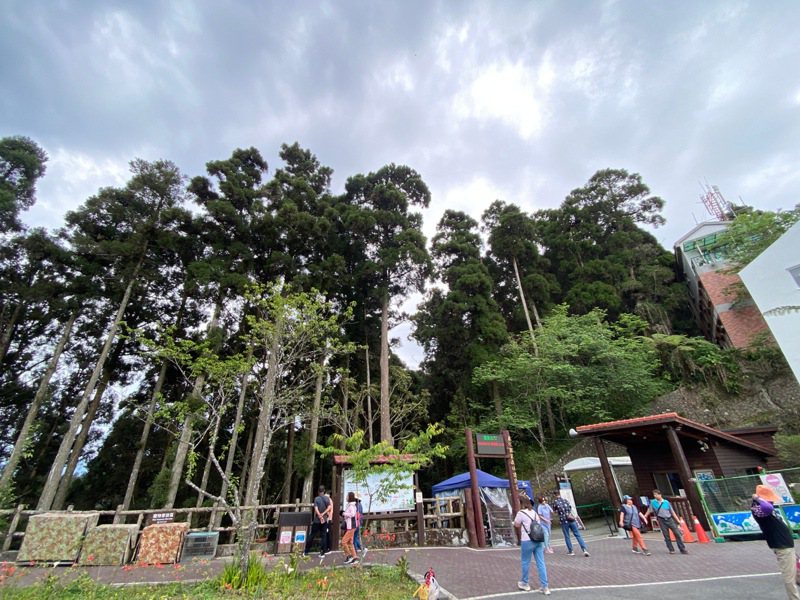藤枝國家森林遊樂區是高雄市桃源區重要的觀光景點。圖／中山大學提供