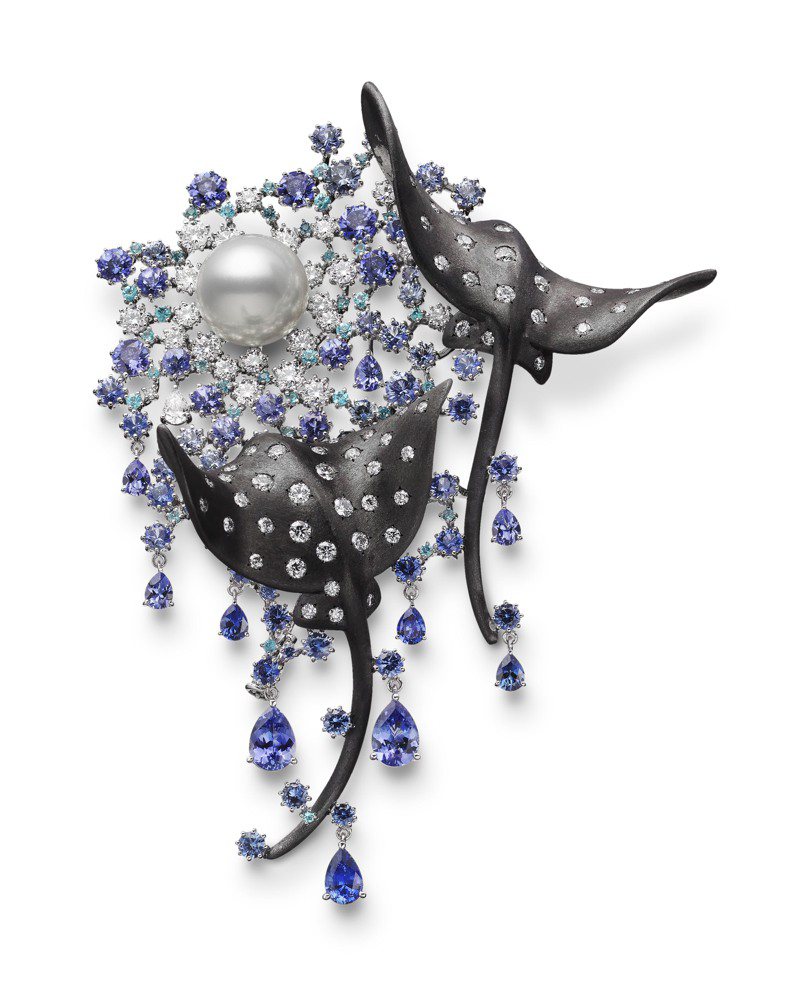 MIKIMOTO顶级珠宝系列「Praise to the Sea」𫚉鱼造型南洋珍珠胸针，321万元。图／MIKIMOTO提供