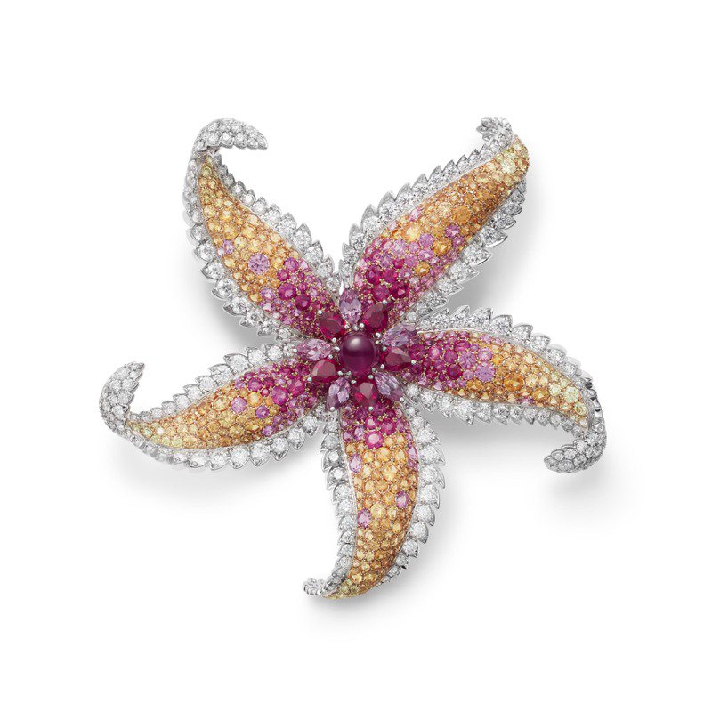 MIKIMOTO顶级珠宝系列「Praise to the Sea」海星造型红宝石胸针，主石为重约1.28克拉的红宝星石，403万元。图／MIKIMOTO提供