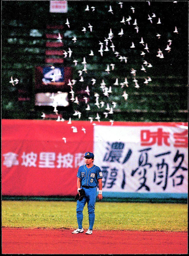 921地震前一天晚間，台北市立棒球場，飛來一群東方環頸舁，相當怪異。 聯合報系資料照