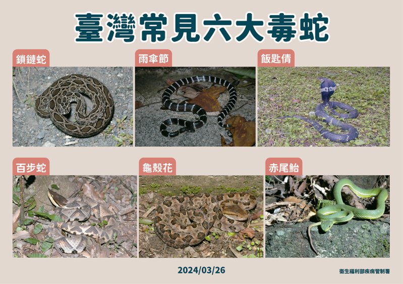 國內常見的六大毒蛇。圖／疾管署提供