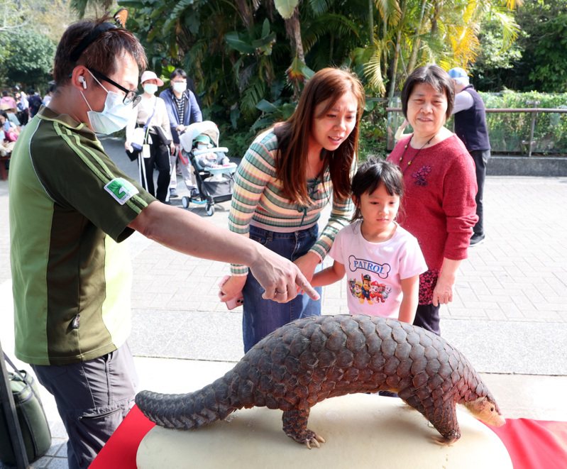 今天兒童節，許多民眾帶孩子到台北市立動物園遊玩。本報資料照片