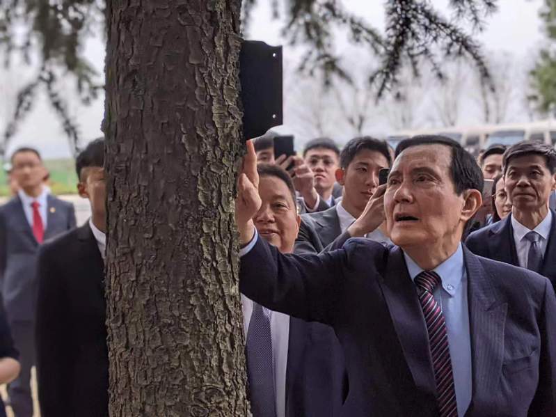 於馬援墓，馬英九在其父親馬鶴凌手植的樹旁觀看。記者廖士鋒／攝影