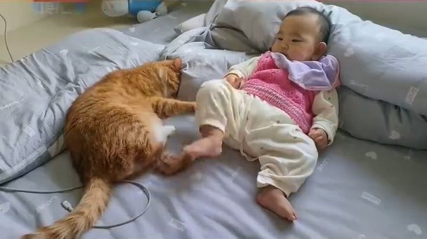 一名媽媽表示家裡的嬰兒才8個月大，此外家裡還有一隻2歲大的橘貓，貓咪跟小主人之間的互動相當有愛，幾乎凡事都讓著小寶寶。圖擷自微博