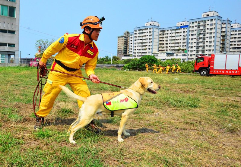 特搜队员、领犬员李信宏平常和高雄搜救犬Roger相处、训练画面。图／高雄市消防局提供