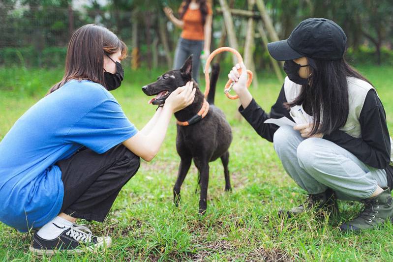宜蘭縣動植物防疫所與義工夥伴，經常在寵物公園舉辦毛小孩愛護、養護宣導活動，建立狗狗與人們的彼此信任。圖／翻攝宜蘭收容所義工隊