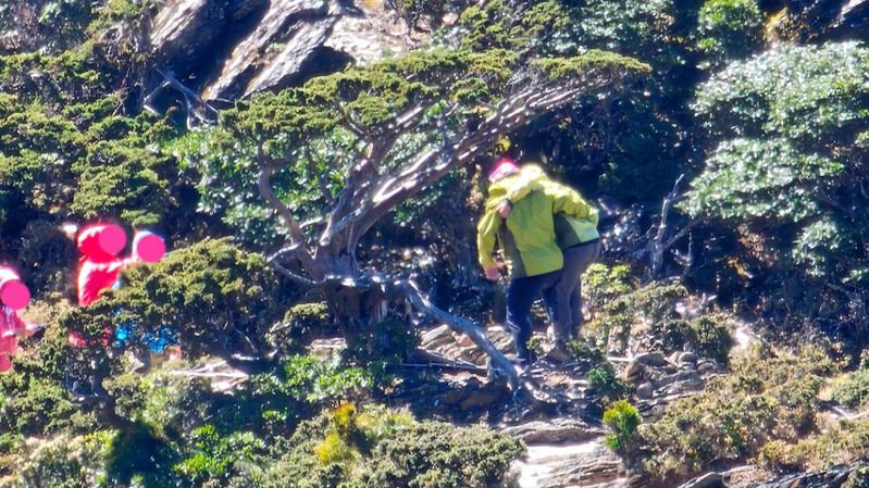 林业署工作人员发现有山友跨越围篱与向阳名树拍照。图／翻摄爱上嘉明湖粉专