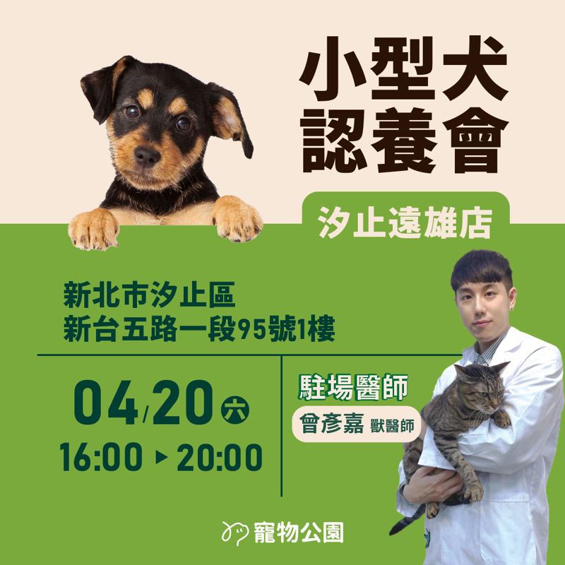 新北市汐止区远雄广场4月20日举办小型犬认养会。图／远雄广场提供