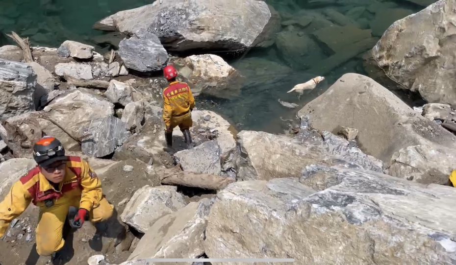 搜救人員今天持續深入砂卡礑步道尋人，搜救犬Hero突然跳進溪水，游了起來，模樣非常可愛。圖／花蓮縣消防局提供