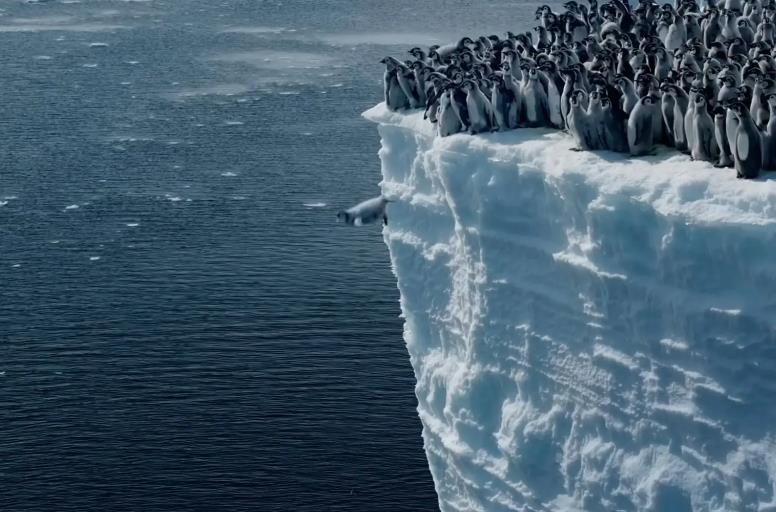 有摄影师在南极拍到成群结队的小企鹅勇敢从15公尺高（约5层楼高）悬崖上一跃而下。取自YouTube