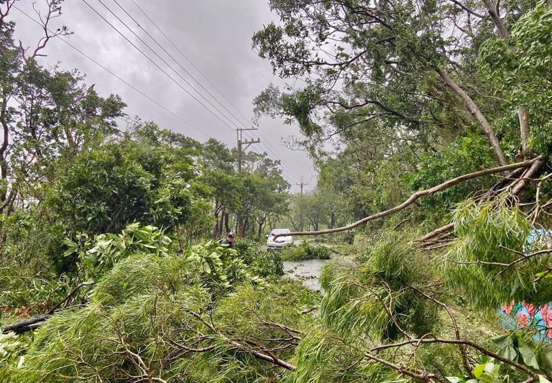 去年10月小犬颱風挾帶17級強陣風侵襲屏東恆春半島，農業部公告滿州鄉為林業類現金救助及低利貸款地區。圖／民眾提供
