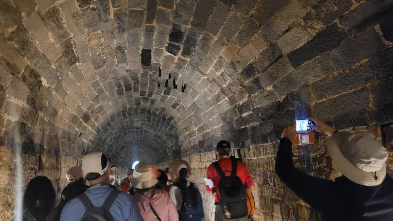 刘铭传隧道封14年重开放，惊见台湾叶鼻蝠倒挂待产。记者游明煌／摄影