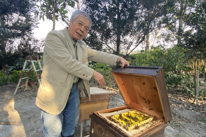 76歲的明道大學前校長陳世雄退休後不僅繼續推廣有機農業，還開始養蜜蜂。記者林宛諭／攝影