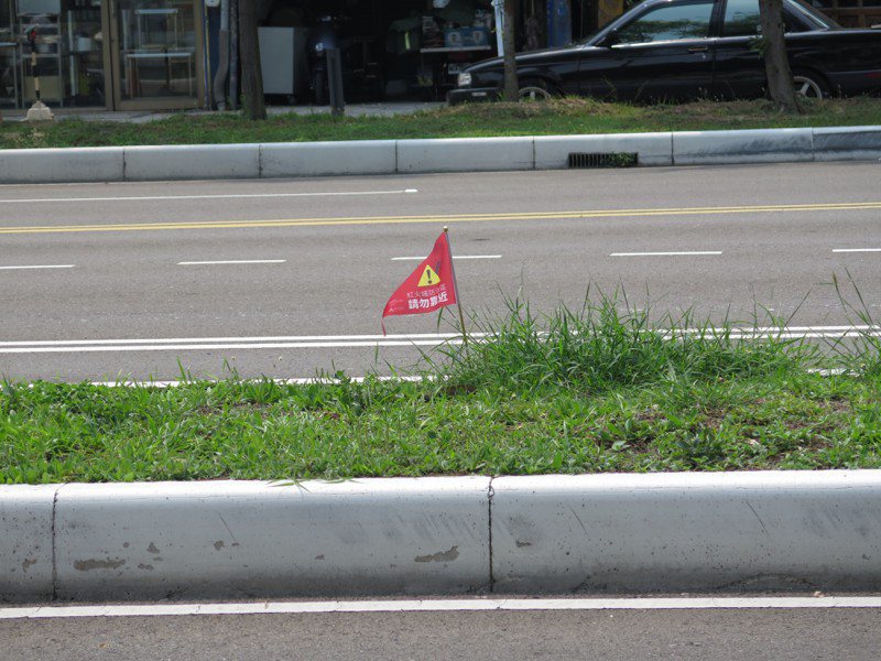 新竹市東大路分隔島出現一支支紅火蟻防治警示的「小紅旗」。記者張裕珍／攝影