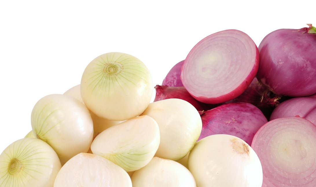 白洋蔥鈣質、維生素C略高，紫洋蔥有較高的花色素苷（花青素與醣類物質的結合體）、槲皮素。