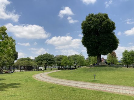 北屯區親子週末好去處的南興公園佔地2萬坪，圖為南興公園內知名景點「米奇樹」。 （圖:信義房屋提供）