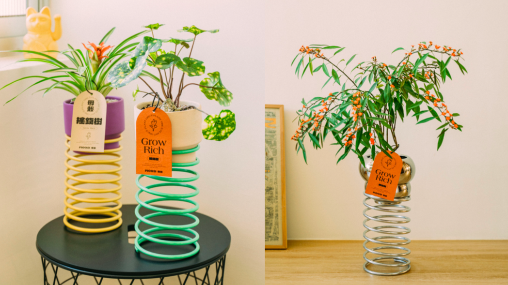 特別設計的盆器讓植物化身「搖錢樹」。 圖／澆綠俱樂部提供