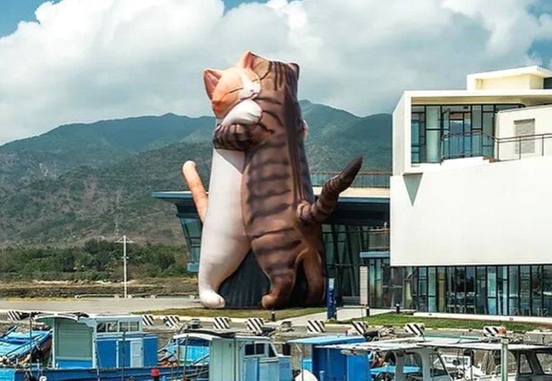 屏東縣車城看海美術館「極度日常」特展明天起一連展出3個月，室內78件栩栩如生的木雕和戶外14公尺高的擁抱巨貓、橫躺大貓，讓貓狗派的心瞬間融化。記者潘欣中／攝影