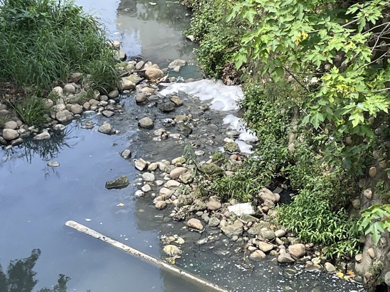 新竹县新丰乡茄苳溪昨晚疑遭不肖业者排放废水，河水出现大量白色泡沫。图／新竹县环保局提供