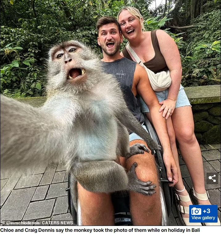 克洛伊和丹尼斯夫妻倆跟獼猴留下難忘的自拍照，畫面十分有趣。圖擷自每日郵報
