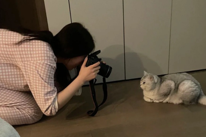 女子幫貓咪拍照。圖擷自小紅書