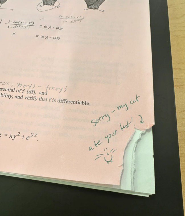 留学生分享考卷被教授的猫吃掉一角。图撷自小红书