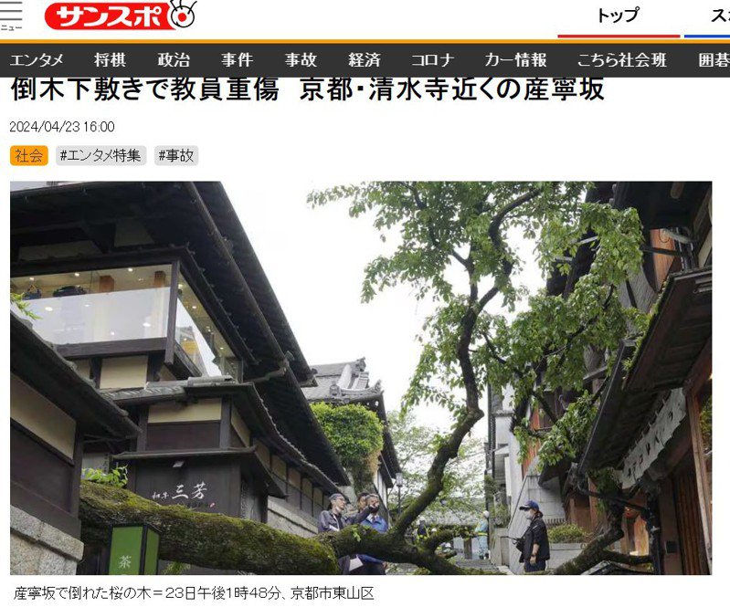 日本京都市名勝清水寺周邊觀光景點之一的「產寧坂」，今天發生一棵百年歷史的櫻花樹傾倒，造成路過的62歲高中老師遭壓重傷意外。圖截自產經體育