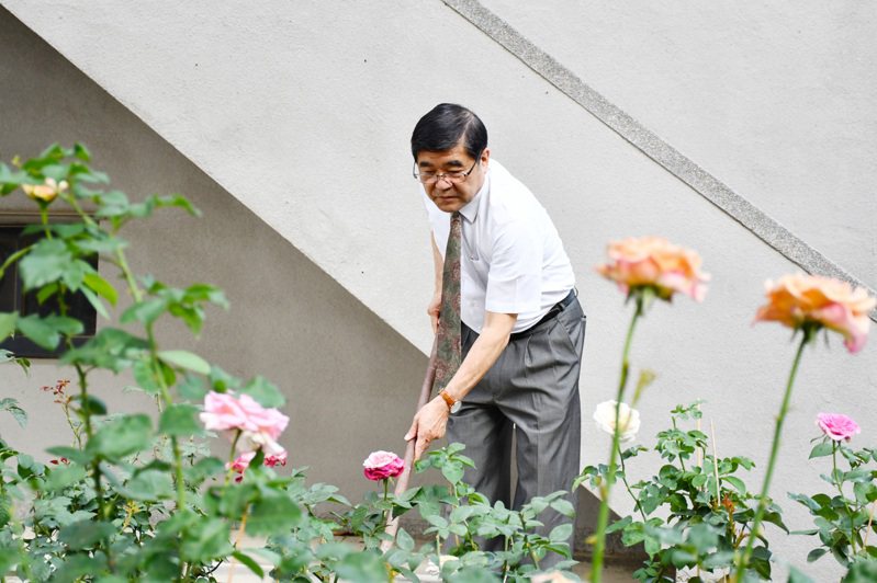 高醫大校長楊俊毓去年11月起開始在校園中一隅種植玫瑰。圖／高醫大提供