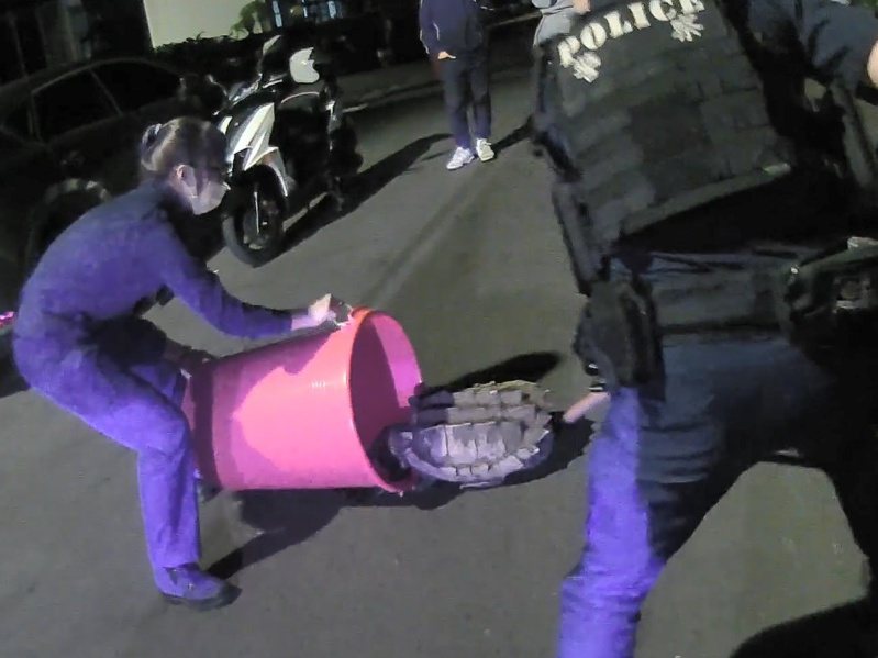 中坜街头出现40公斤大鳄龟逛大街，路人吓坏，员警用水桶木棍「逮捕」救援。图／警方提供
